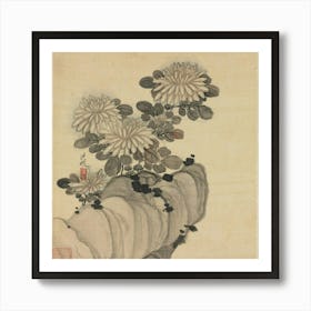 Chrysanthemums Art Print