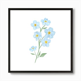 Forget Me Not Flowers Art Print