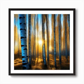 Birch Trees At Sunset 7 Art Print