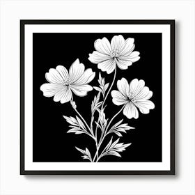 Cosmos Flower, Single Line Drawing Of The Flowers Pattern , Black And White Flowers 2 Art Print