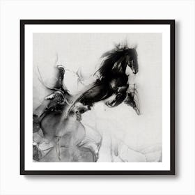 Black Horse Art Print