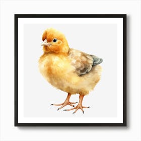 Chicken 1 Art Print