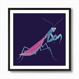 Praying Mantis in the Dark Art Print