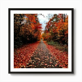 A Crisp American Autumn Scene Unfolds Embodying The Quiet Beauty Of A Fall Nature Trail Transitioni (6) Art Print