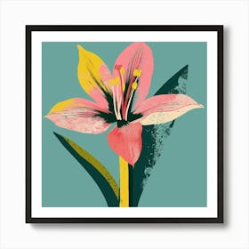 Amaryllis 3 Square Flower Illustration Art Print