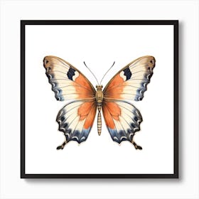 Butterfly 29 Art Print