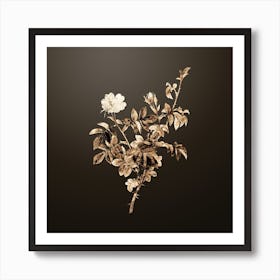 Gold Botanical White Downy Rose on Chocolate Brown n.3884 Art Print