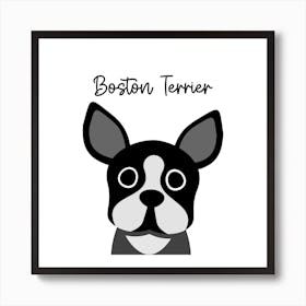 Boston Terrier Art Print