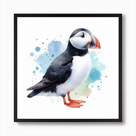 Bird Puffin Art Print