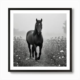 Black Horse In A Foggy Field 3 Art Print