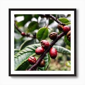 Coffee Beans On A Tree 52 Art Print