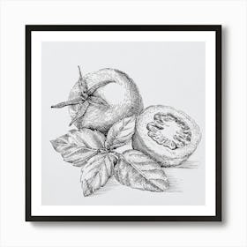 Basil and tomato Art Print