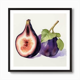 Watercolor Figs Art Print