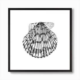 Seashell coquillage Art Print