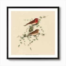 Two Birds Perched On A Branch Art Print