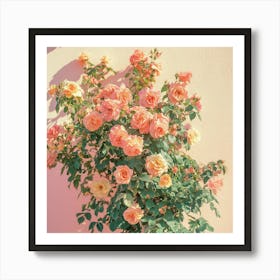 Pink Roses Art Print