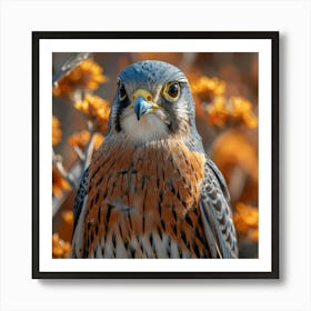 Falcon 1 Art Print