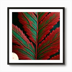 Redwood leaf Art Print