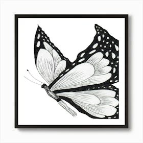 Butterfly Art Print