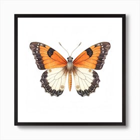 Butterfly 44 Art Print