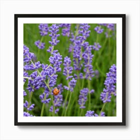 Lavender And Ladybird Poster