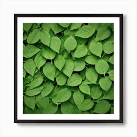 Green Leaves 3 Art Print