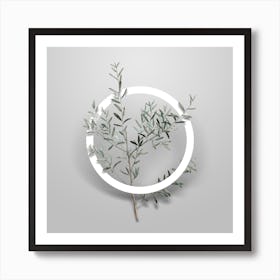 Vintage Myrtle Dahoon Branch Minimalist Botanical Geometric Circle on Soft Gray n.0120 Art Print