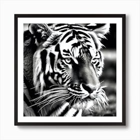 Tiger Wallpaper 4 Art Print
