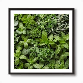 Fresh Herbs On A Table Art Print