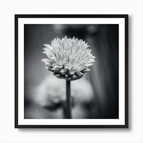 All Alone With My Thoughts Black And White Art Print