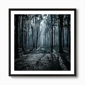 Firefly Noir Forest A Monochromatic Look With High Contrast And Deep Shadows 1 Art Print