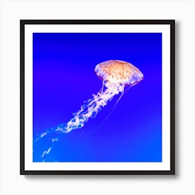 Jellyfish Art Print