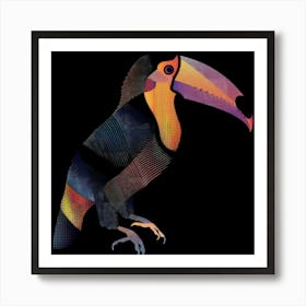 Toucan 14 Art Print