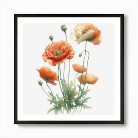 Poppy Art Print