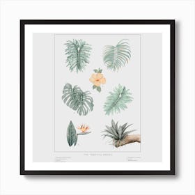 The Tropical Babies   Offwhite 1 Square Art Print