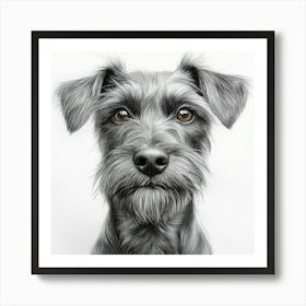 Irish Terrier 1 Art Print