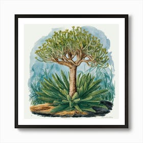 Acropora Gemmifera 2 Vintage Graphic Watercolour A C8lwc6kbqpex3qe6k6w2ow Ipriqgpotmmj Ovxz0xzyq Art Print