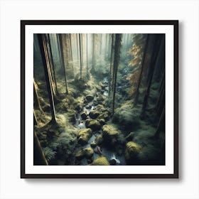 Mossy Forest 5 Art Print