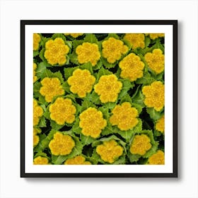 Yellow Carnations Art Print