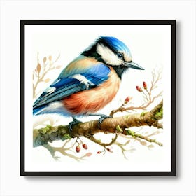 Blue Bird On Branch Art Print