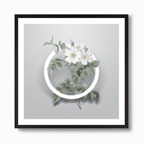 Vintage White Rosebush Minimalist Flower Geometric Circle on Soft Gray Art Print
