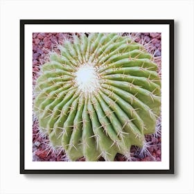 Cactus 11 Art Print