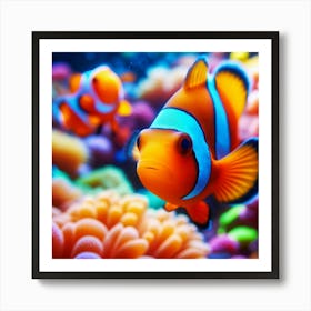 Clown Fish Art Print