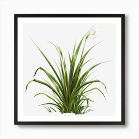 Watercolor-Spring-Grass-Clipart.1 Art Print