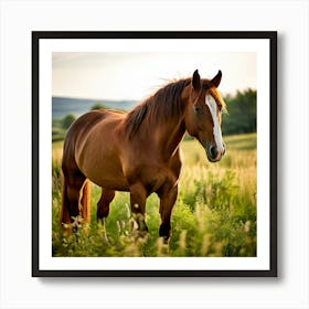 Horse In A Field 10 Art Print