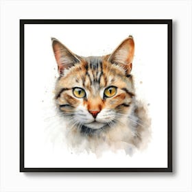 Sokoke Cat Portrait 1 Art Print