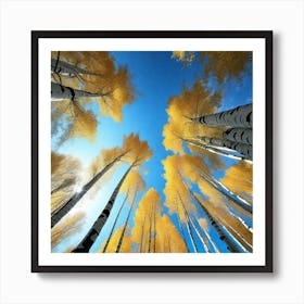 Aspen Trees In Autumn 2 Art Print