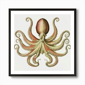 Octopus Art Print