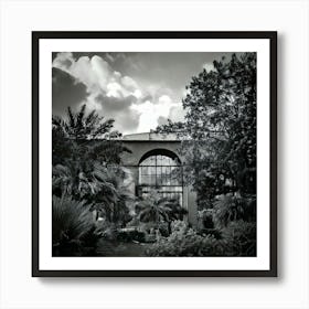 Firefly Nostalgic Noir Nature Black And White Nature Scenes With A Vintage, Film Noir Aesthetic 1 Art Print