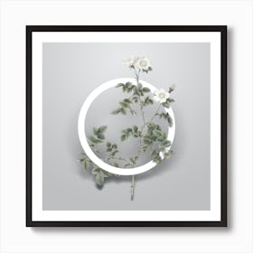 Vintage White Sweetbriar Rose Minimalist Flower Geometric Circle on Soft Gray n.0545 Art Print